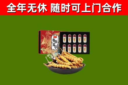 永定区烟酒回收冬虫夏草礼盒.jpg