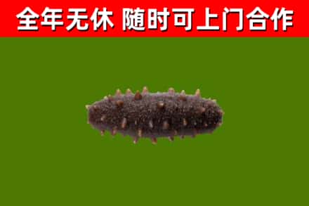 永定区烟酒回收干海参.jpg